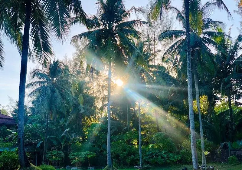 Palm Galleria Resort Sha Extra Plus