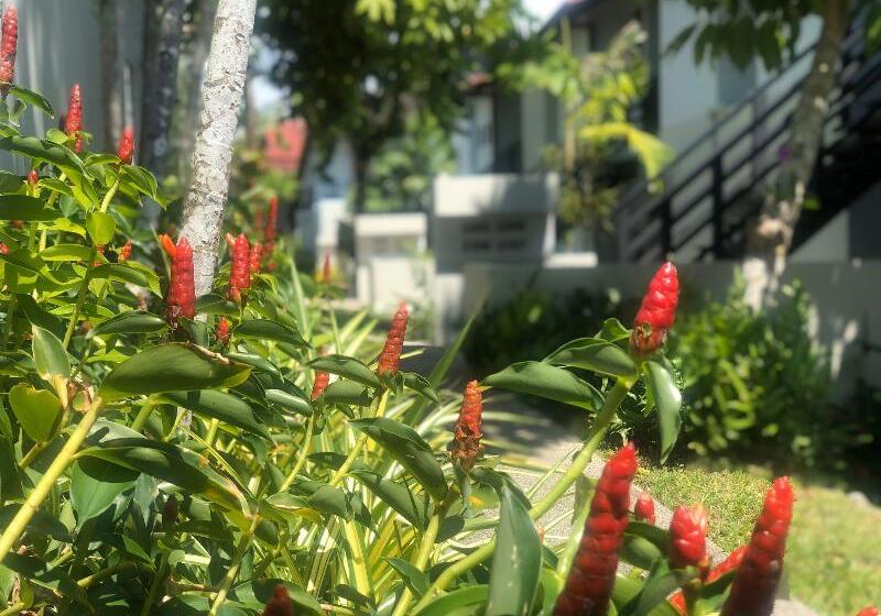 Palm Galleria Resort Sha Extra Plus