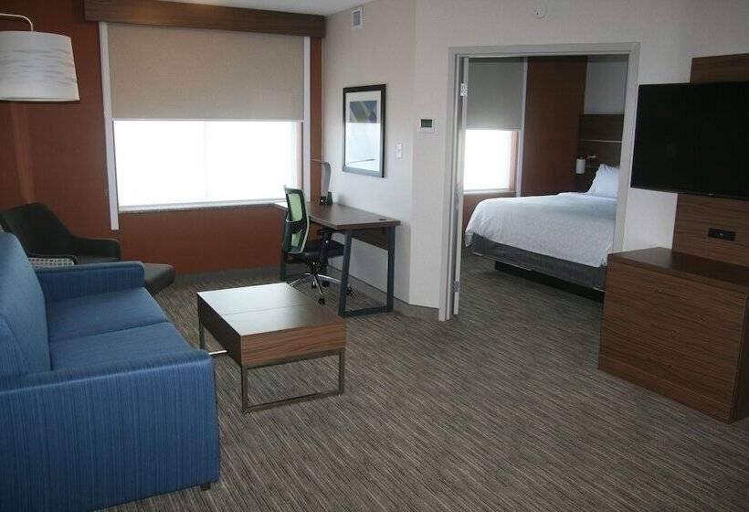 Hotel Holiday Inn Express & Suites Buffalo Downtown, An Ihg