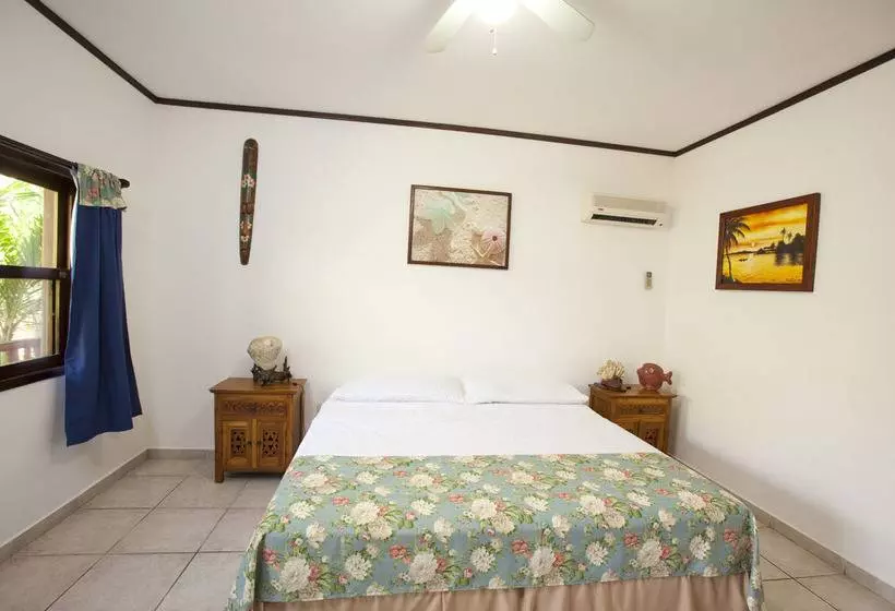 استراحتگاه Splash Inn Roatan