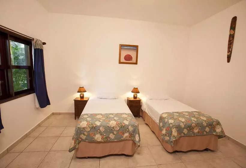 استراحتگاه Splash Inn Roatan