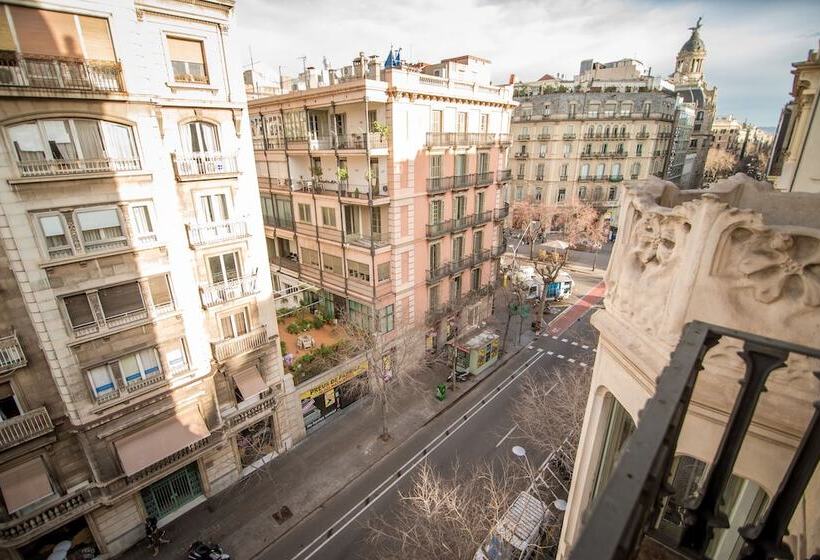 هتل Petit Palace Museum