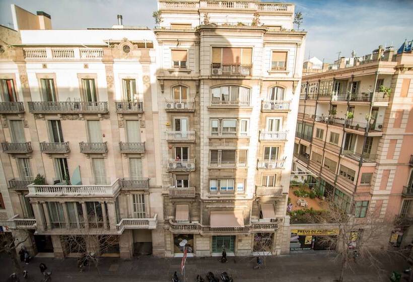 هتل Petit Palace Museum