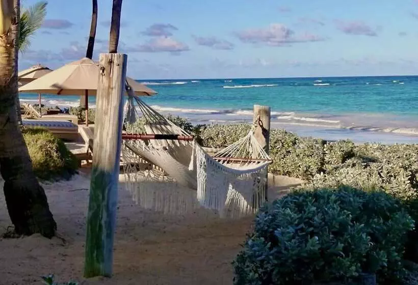 VIK hotel Cayena Beach