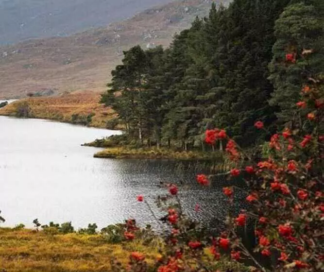 Station House Hotel Letterkenny