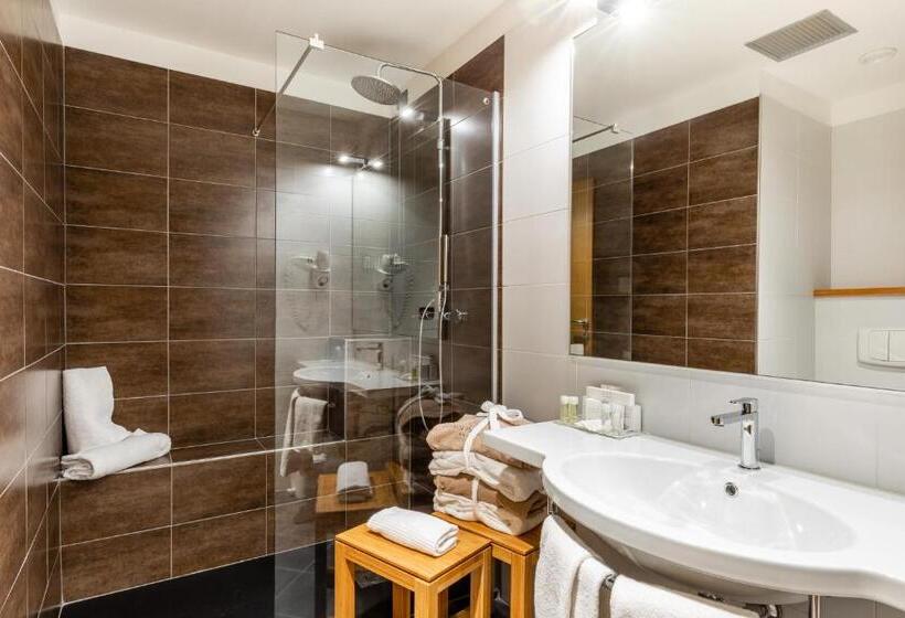 فندق Anusca Palace