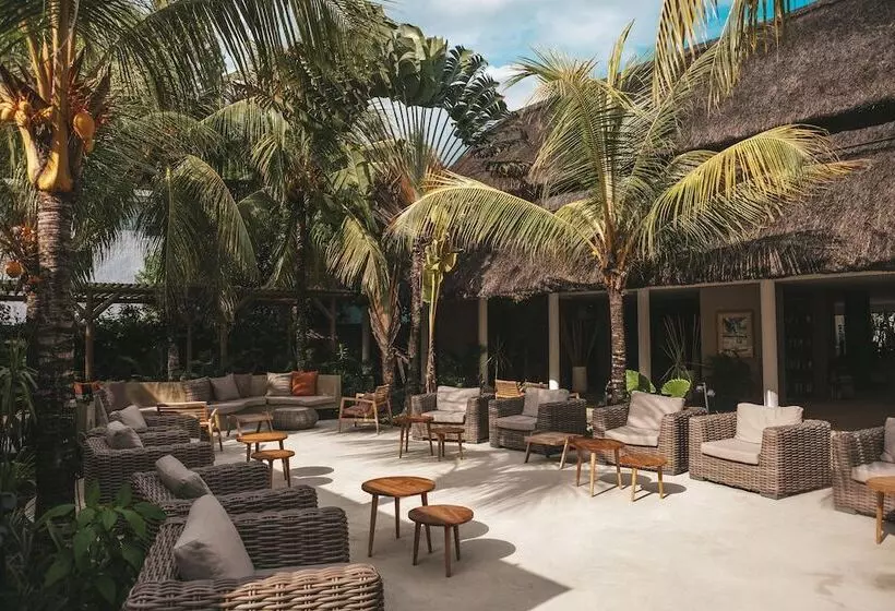 Hotel Friday Attitude