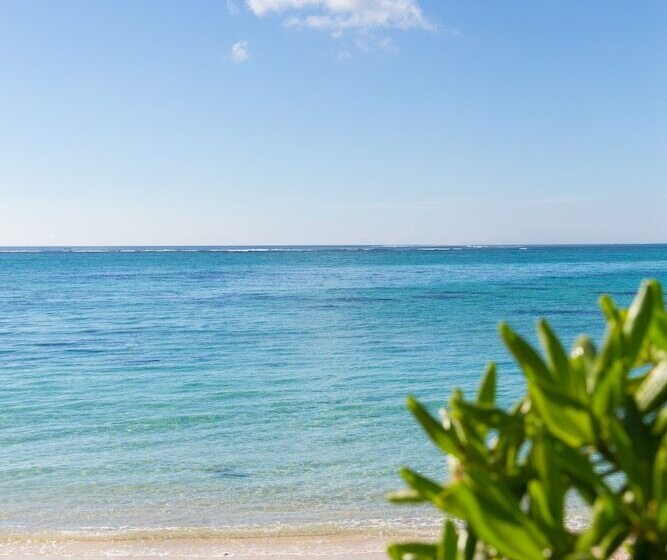 Hotel Friday Attitude