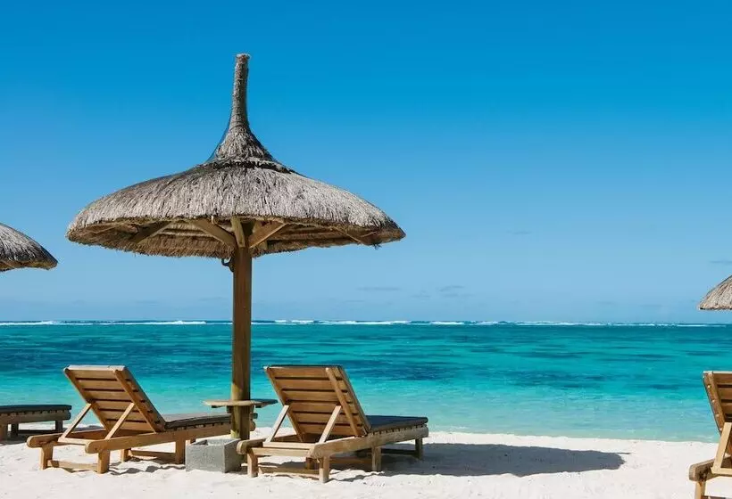 Hotel Friday Attitude