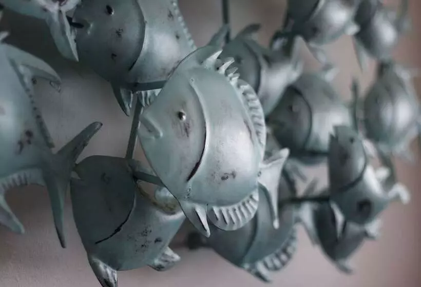 فندق Harbourview Lodge