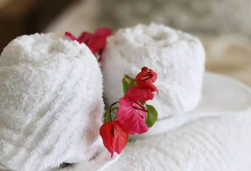 فندق Harbourview Lodge