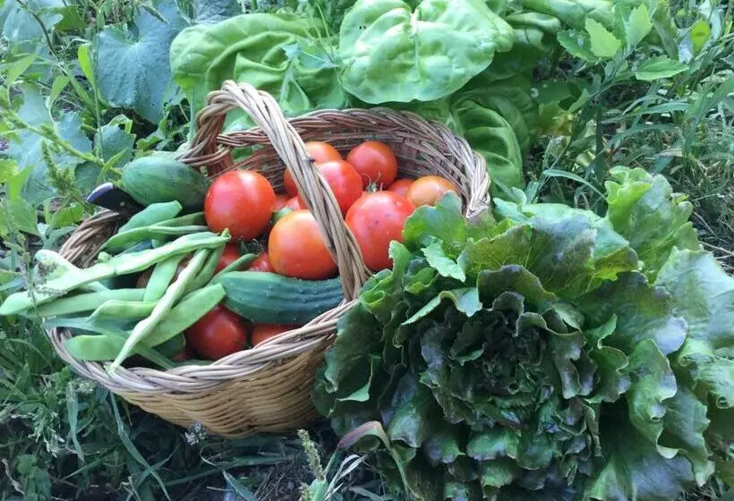 فندق Rural Spa Resguard Dels Vents