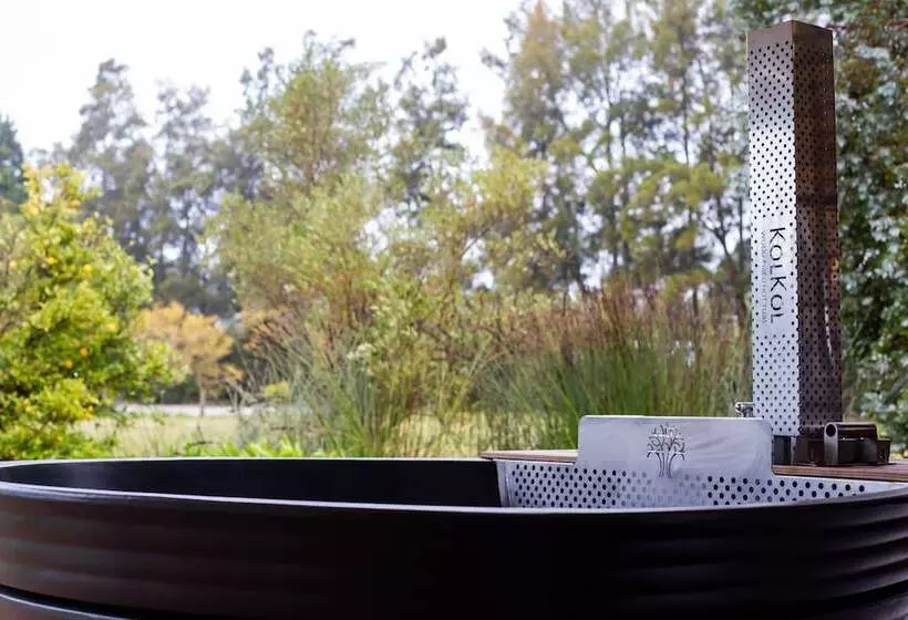 فندق The Residence Boutique