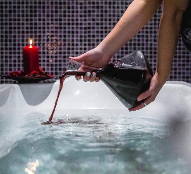 فندق Veracruz Plaza & Spa