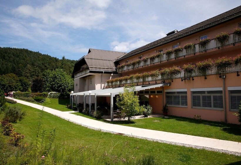 Sonnenhotel Hafnersee