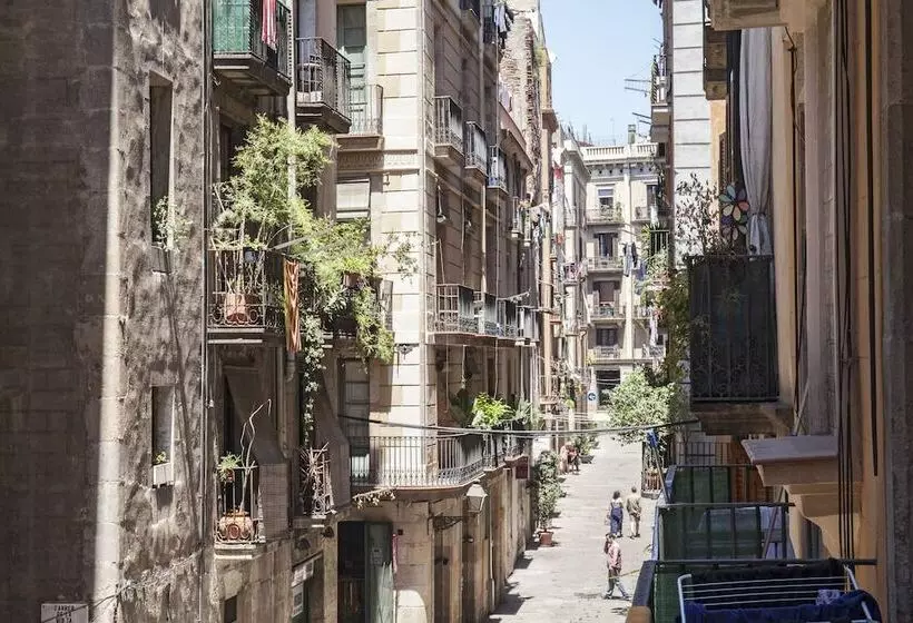 Ainb Born Dames Apartments