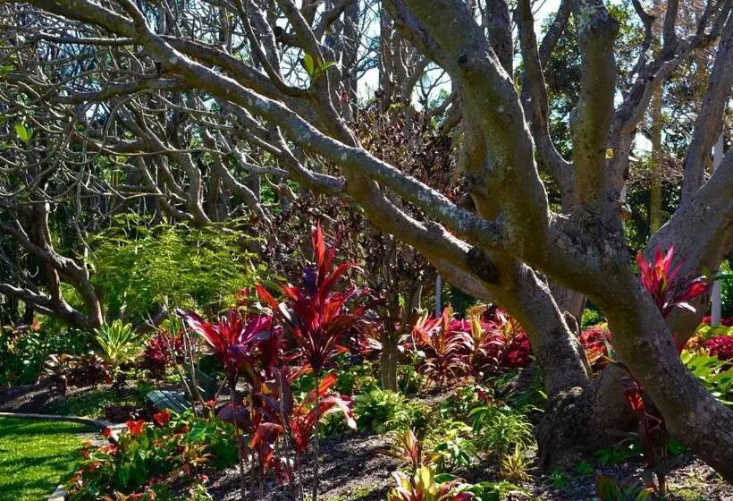 Отель Soho Brisbane