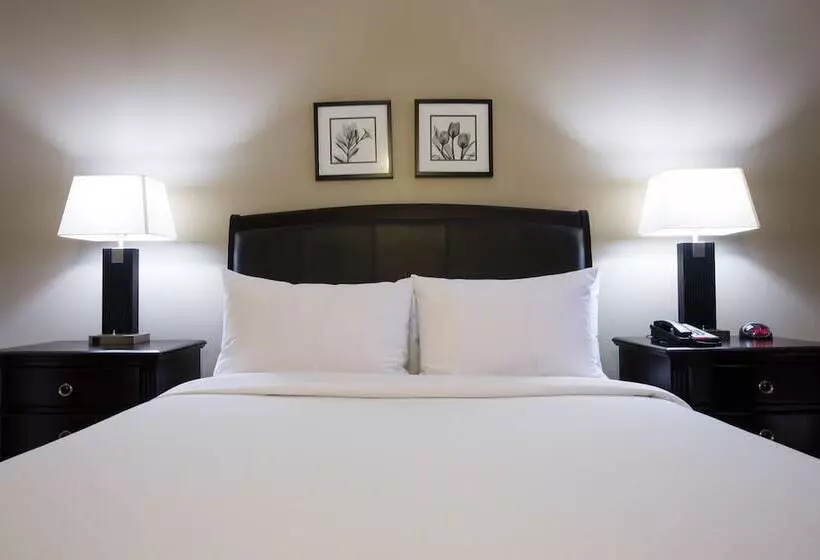 酒店 Capital Suites Yellowknife