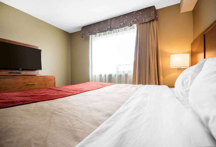 בית מלון כפרי Comfort Inn & Suites