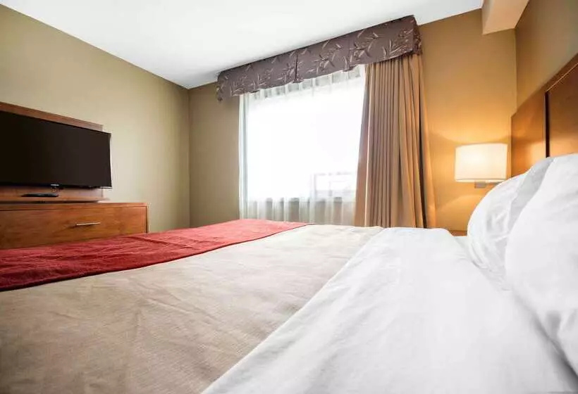 호텔 Comfort Inn & Suites