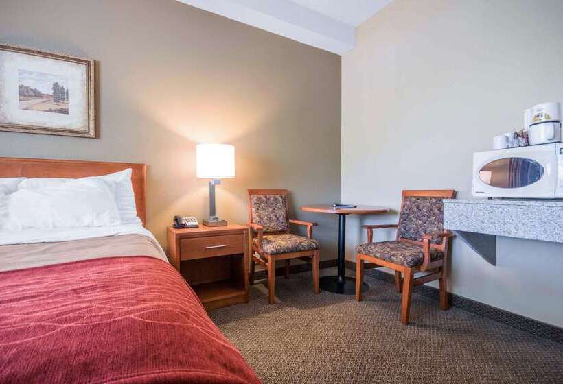 בית מלון כפרי Comfort Inn & Suites