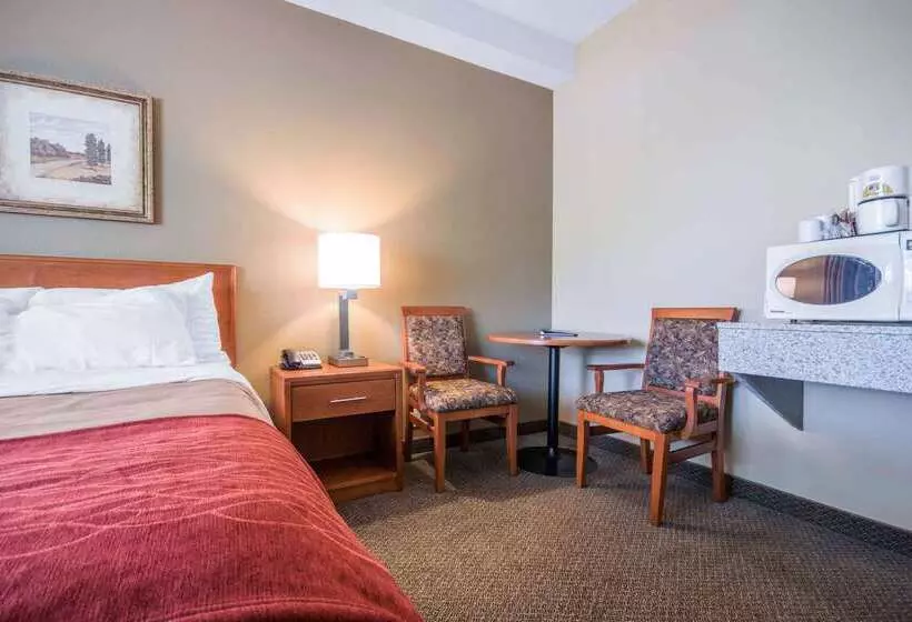 호텔 Comfort Inn & Suites