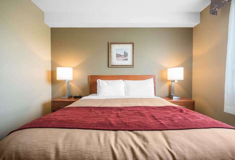 בית מלון כפרי Comfort Inn & Suites