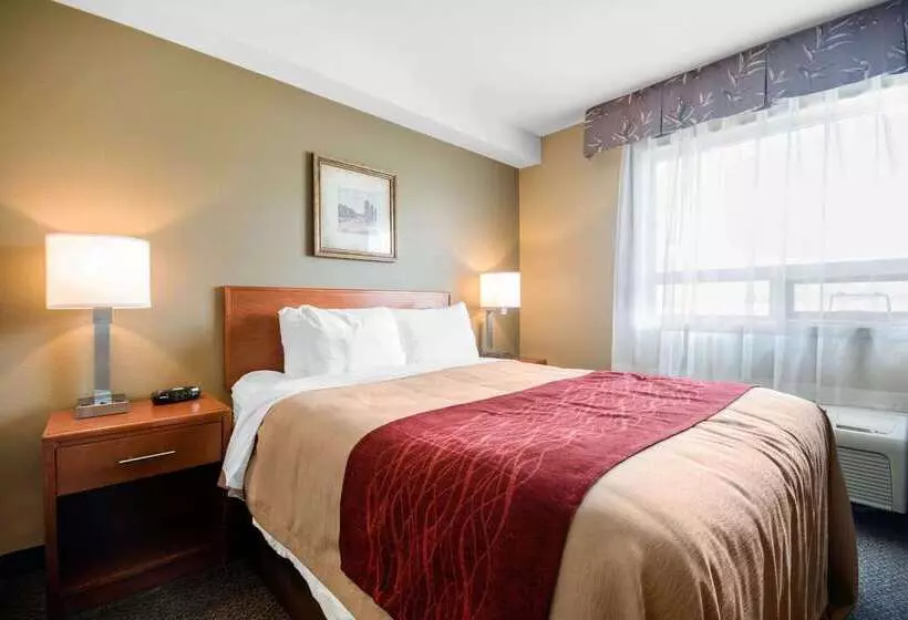 호텔 Comfort Inn & Suites