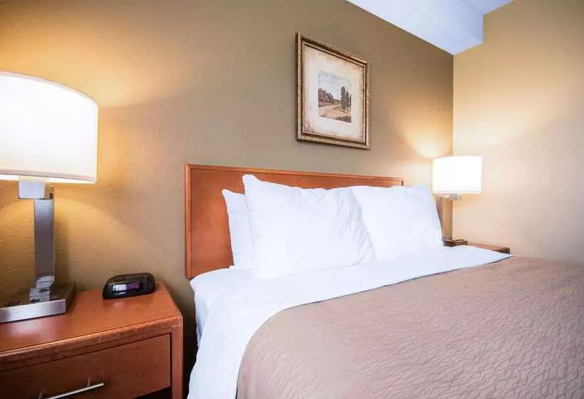 호텔 Comfort Inn & Suites