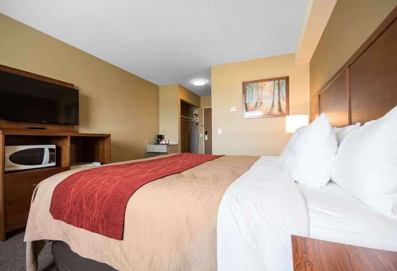 בית מלון כפרי Comfort Inn & Suites