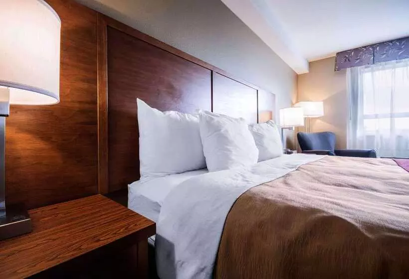 호텔 Comfort Inn & Suites