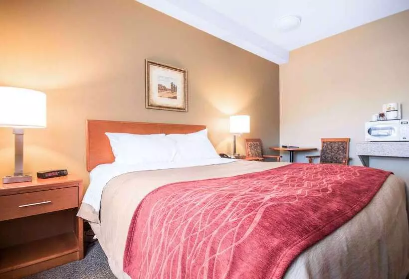 호텔 Comfort Inn & Suites