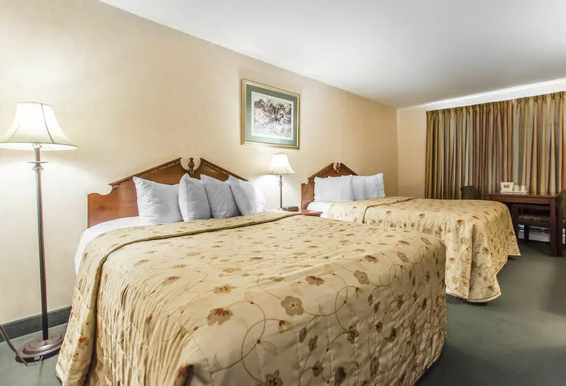 酒店 Econo Lodge Charlottetown