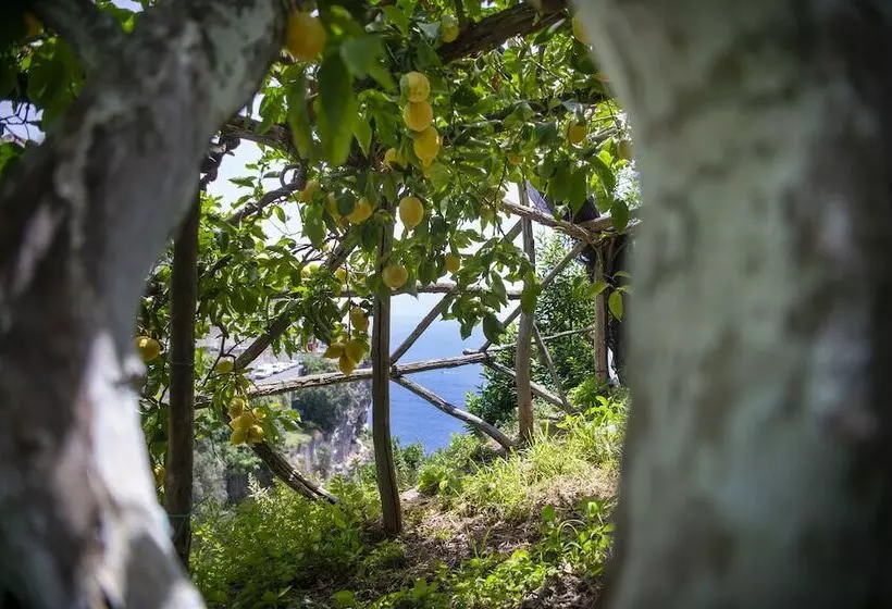 Отель La Pergola