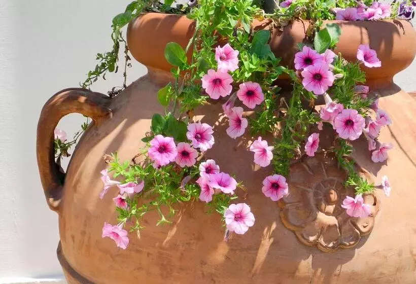 فندق Relais Sant Eligio