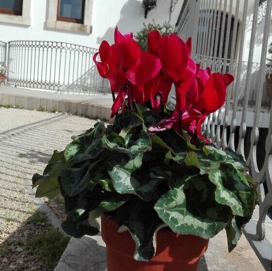 ホテル Relais Sant Eligio