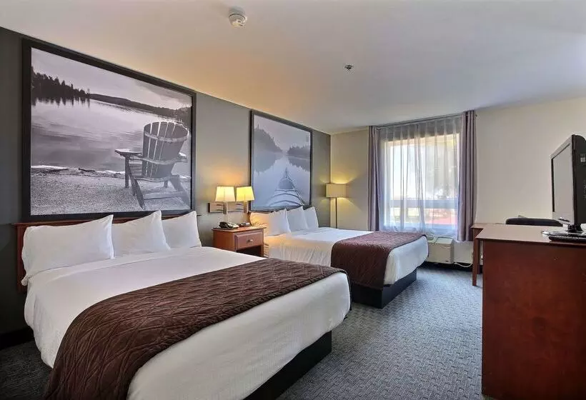 فندق Super 8 By Wyndham Troisrivieres