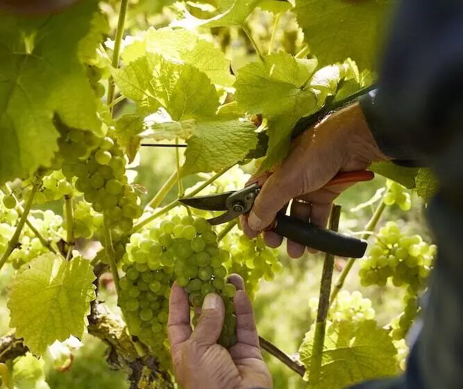 酒店 Van Der Valk Cuijk Nijmegen