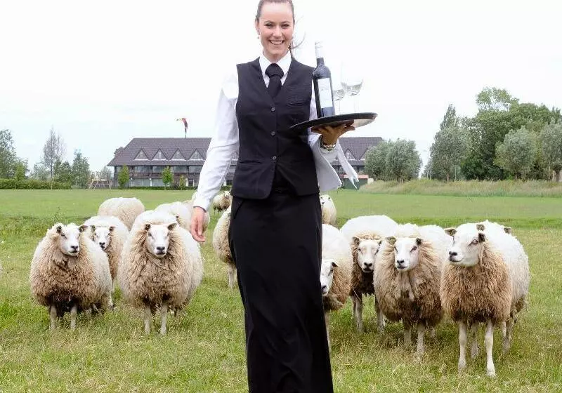 فندق Van Der Valk  Volendam