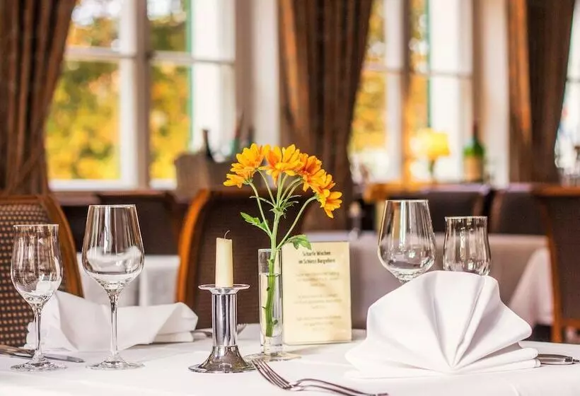 Отель Schloss Burgellern