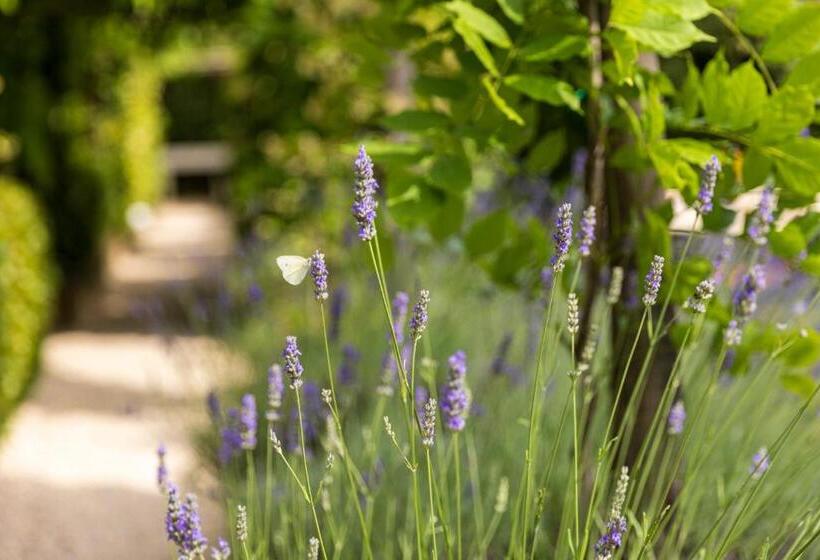 ホテル Palazzo Del Capitano Wellness & Relais Luxury Borgo Capitano Collection