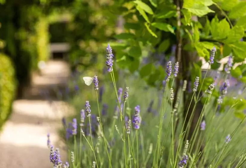 Отель Palazzo Del Capitano Wellness & Relais   Luxury Borgo Capitano Collection