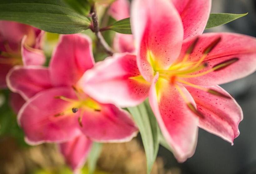 فندق Villa D Este