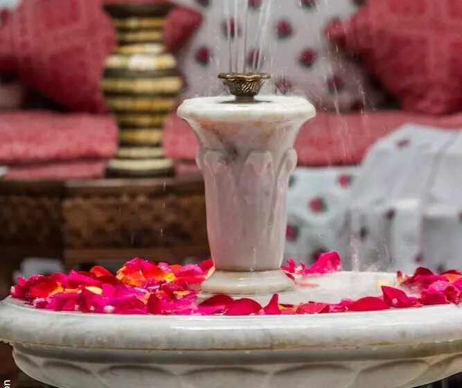 Riad La Perle De La Médina