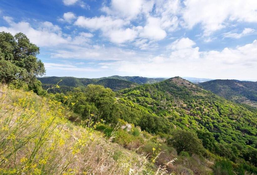 Apartments Sorrabona