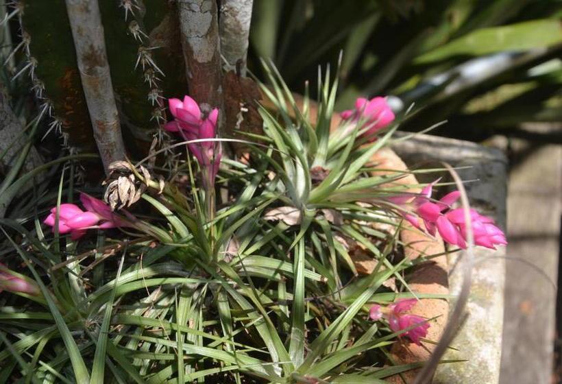 فندق Deauville Pousada