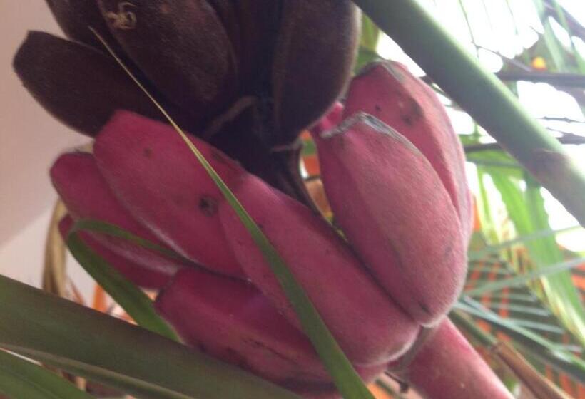 فندق Deauville Pousada