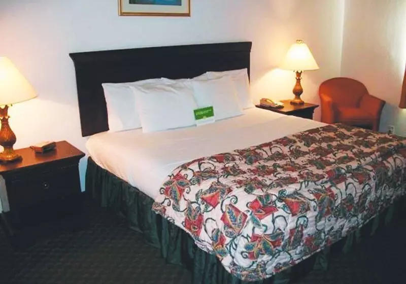 酒店 La Quinta Inn Brownsville