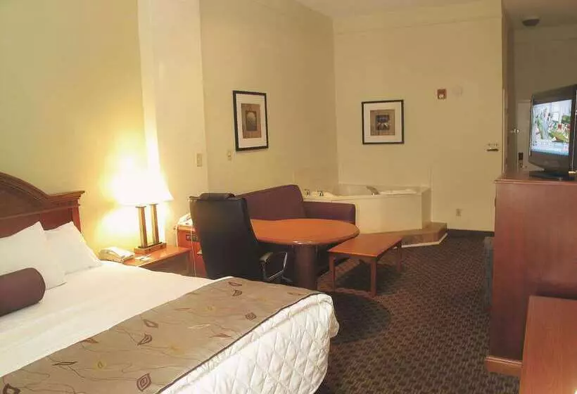 ホテル La Quinta By Wyndham Kerrville