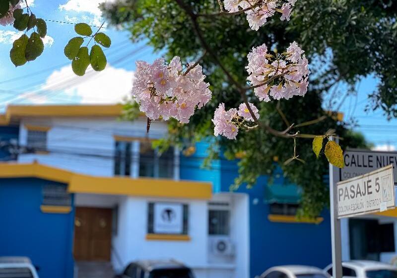 Morrison Hotel San Salvador